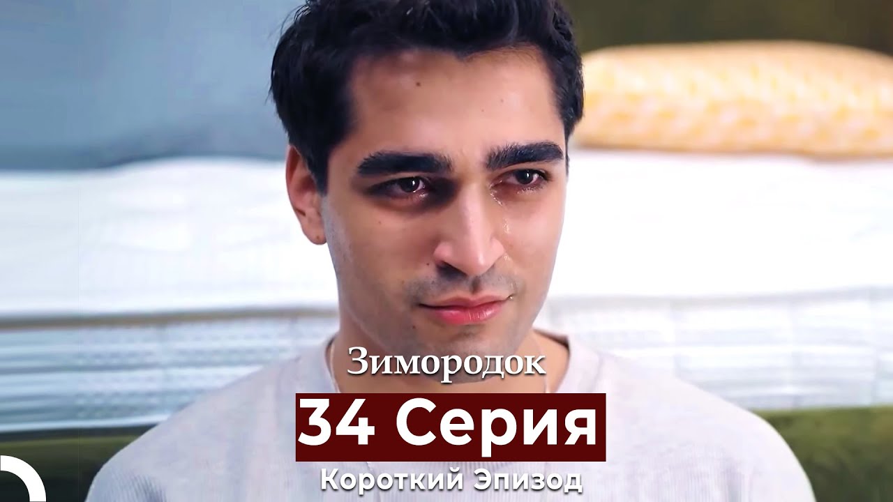Зимородок 34 Cерия (Короткий Эпизод) (Русский дубляж)