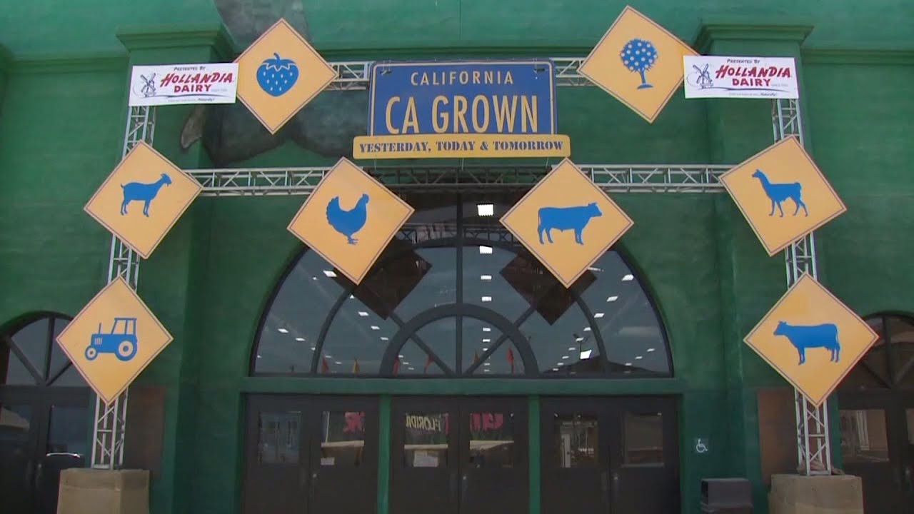 Officials Confirm 10 Cases in Deadly E. coli Outbreak Possibly Linked to San Diego County Fair