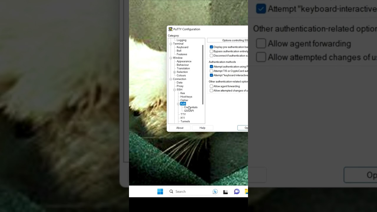 putty add key
