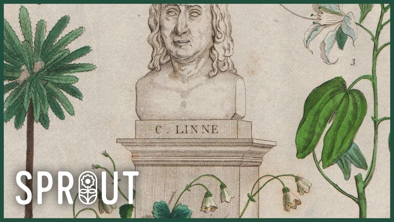 How Joseph Banks Changed Botany and British Gardens Forever