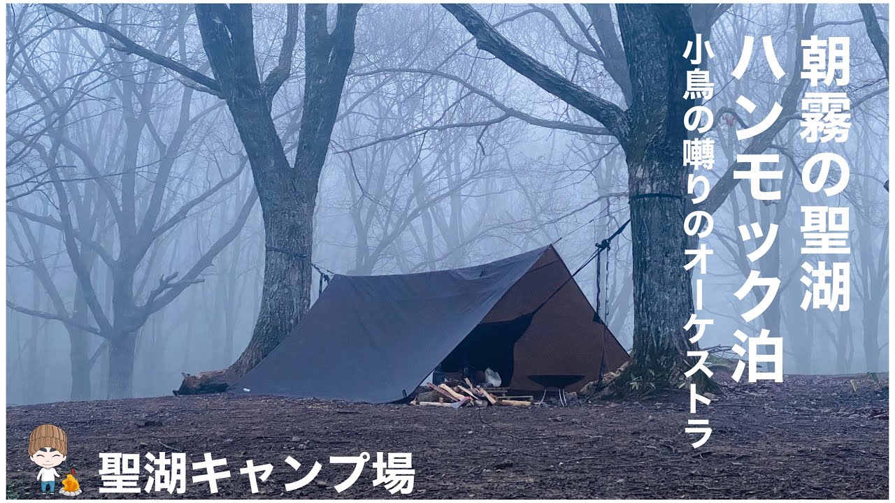 ハンモック泊　朝霧の聖湖キャンプ場　小鳥の囀りのオーケストラ🐧　聖湖キャンプ場その2