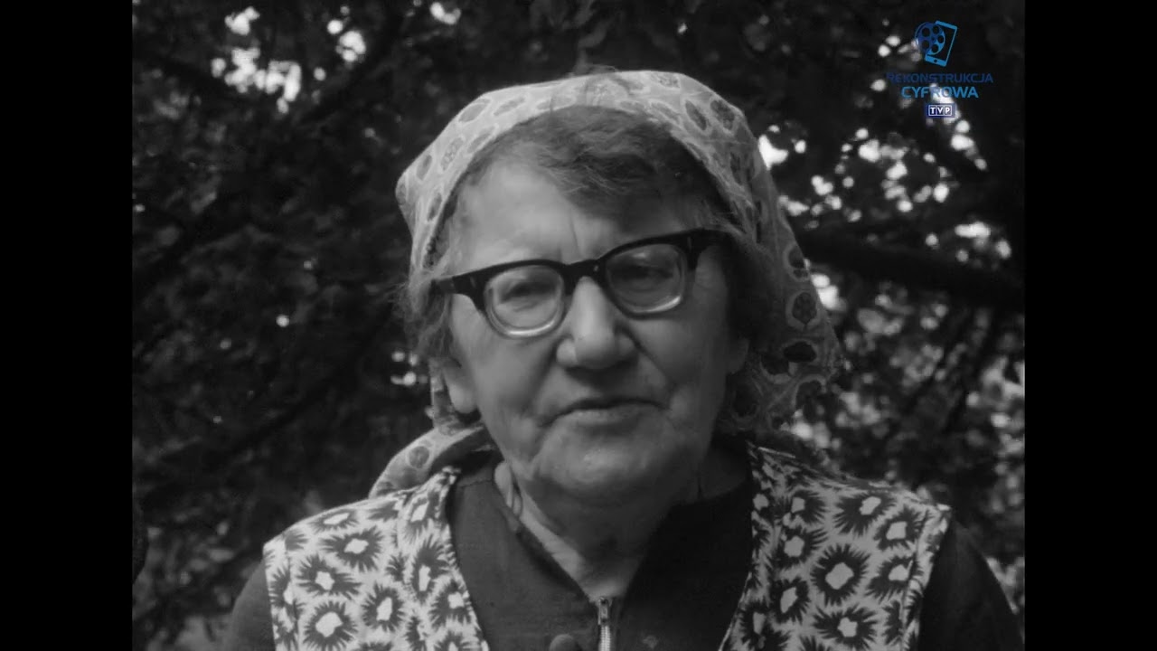 Literatura i prasa - 