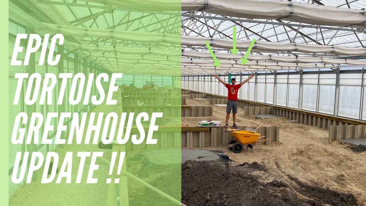 EPIC Tortoise Greenhouse Update!!