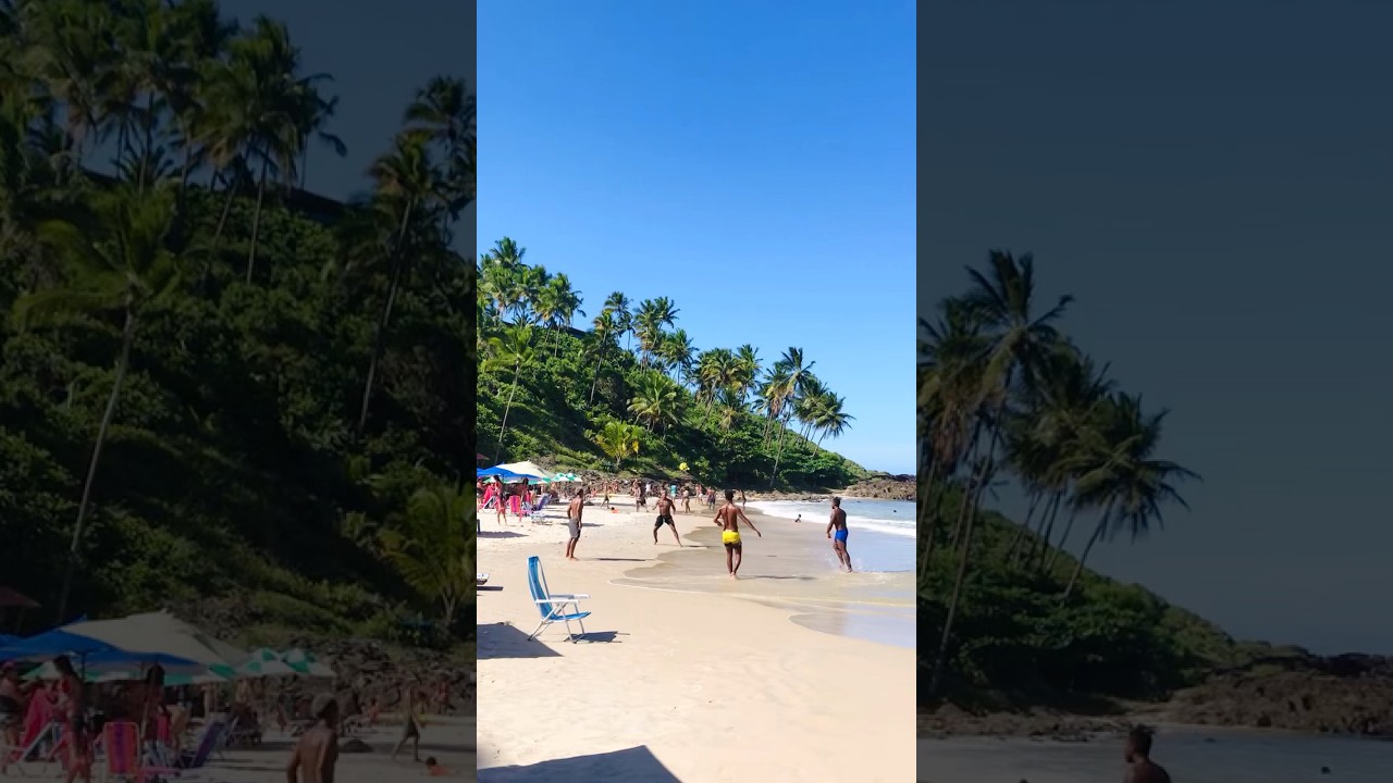 Popular Rezende Beach 🏖 Itacare Bahia Brazil 🇧🇷 #shorts #paradise #paraiso #beachlife #beachwalk