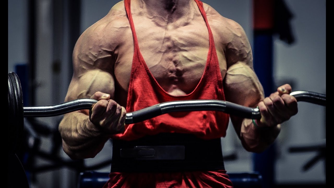 MY ARM WORKOUT - Zach Zeiler