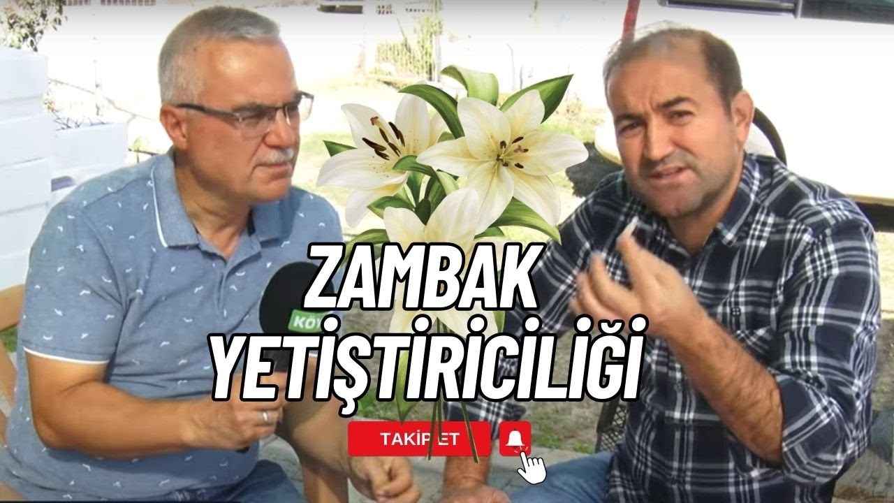 🏵️AK ZAMBAK YETİŞTİRİCİLİĞİ  | TIBBİ AROMATİK BİTKİLER