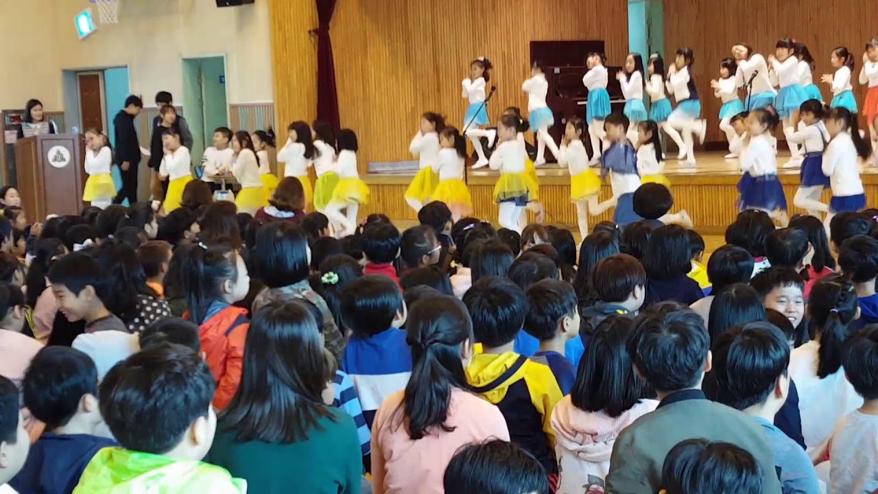 17년도 비봉초등학교 1학년 꿈끼자랑대회 트와이스 T.T