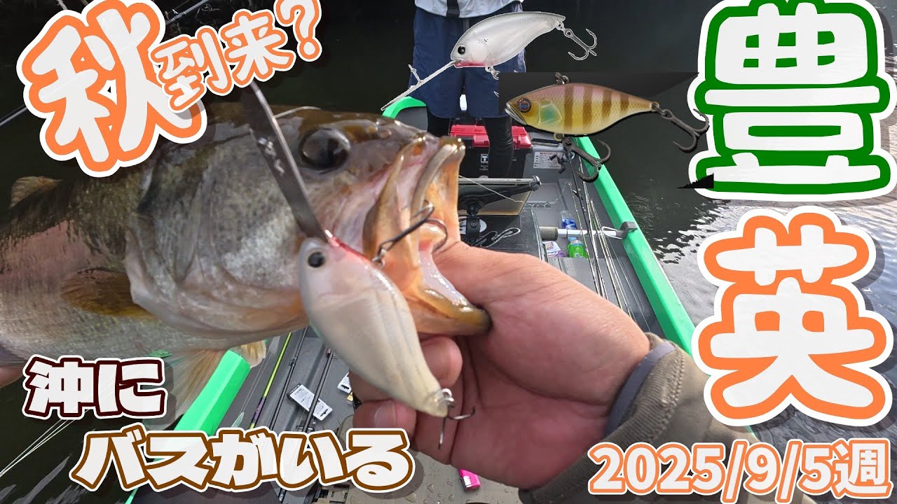 【豊英ダム】9月5週　ハイパークランク！巻物の秋は来るのか？広範囲にサーチ