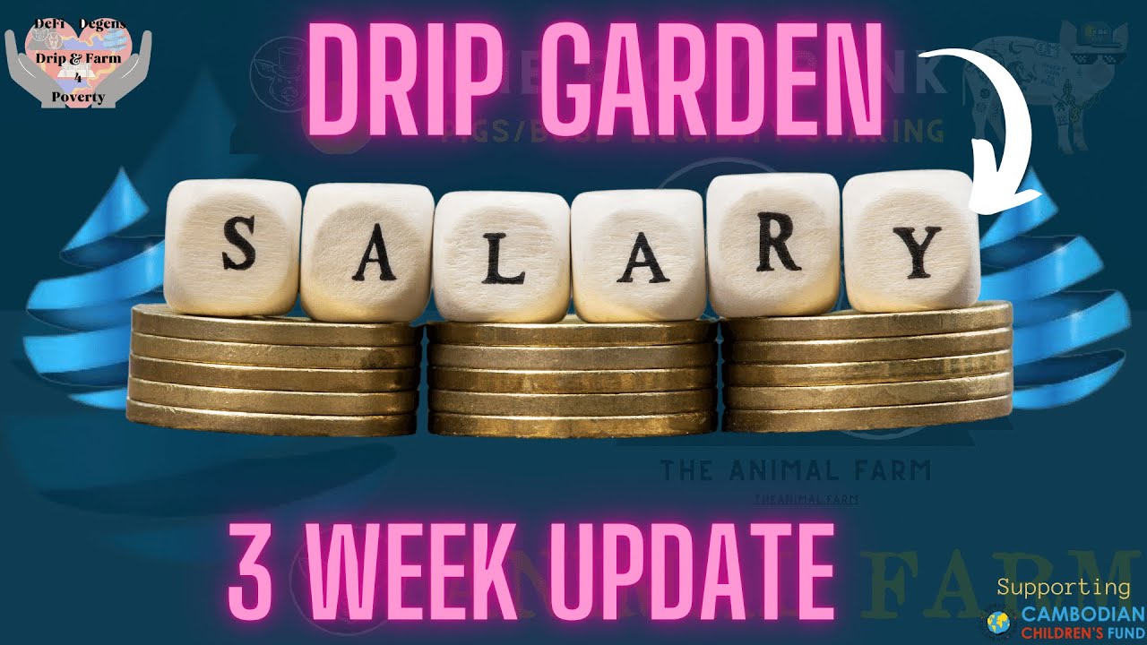Drip Network Drip garden update on my monthly salary strategy