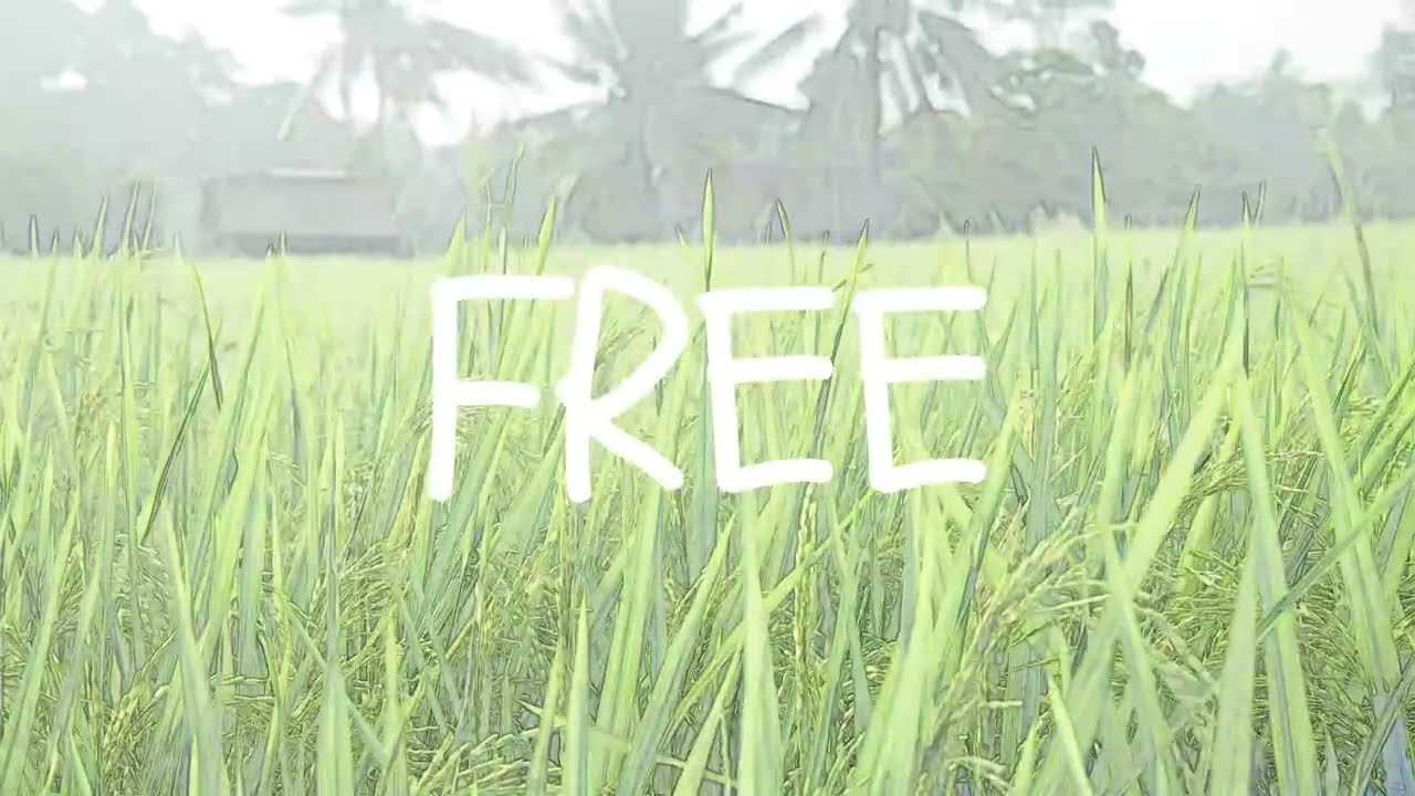 Layzerd - FREE (Lyric Video)