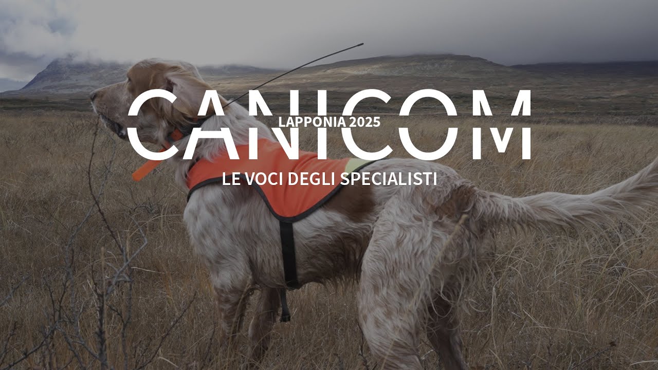 HUNTING WITH CANICOM | Lapponia 2025 | Le Voci Degli Specialisti