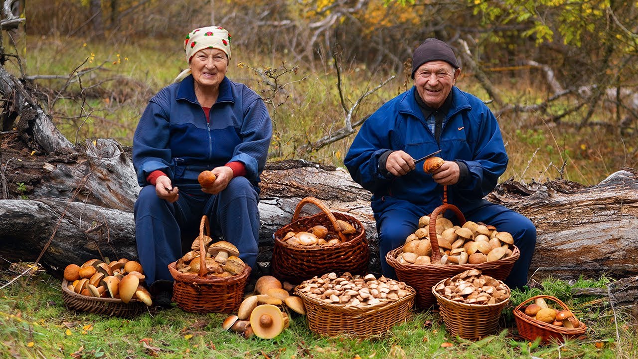 Record Find of Mushrooms in the Forest !!!  Happy Life of an Elderly Couple