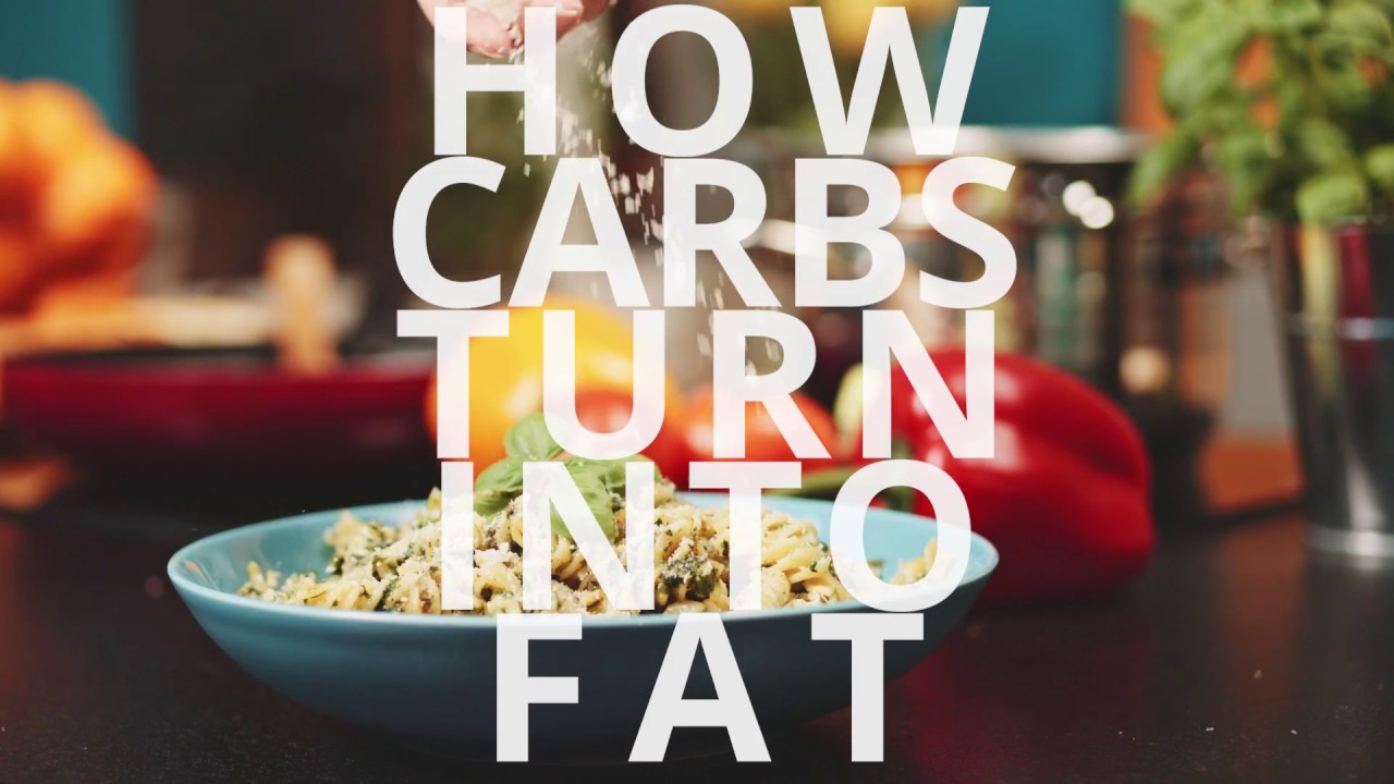 How Carbs Turn to Fat