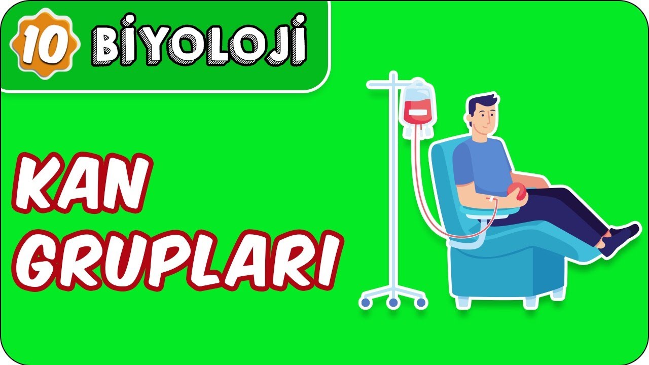 Kan Grupları  | 10. Sınıf Biyoloji