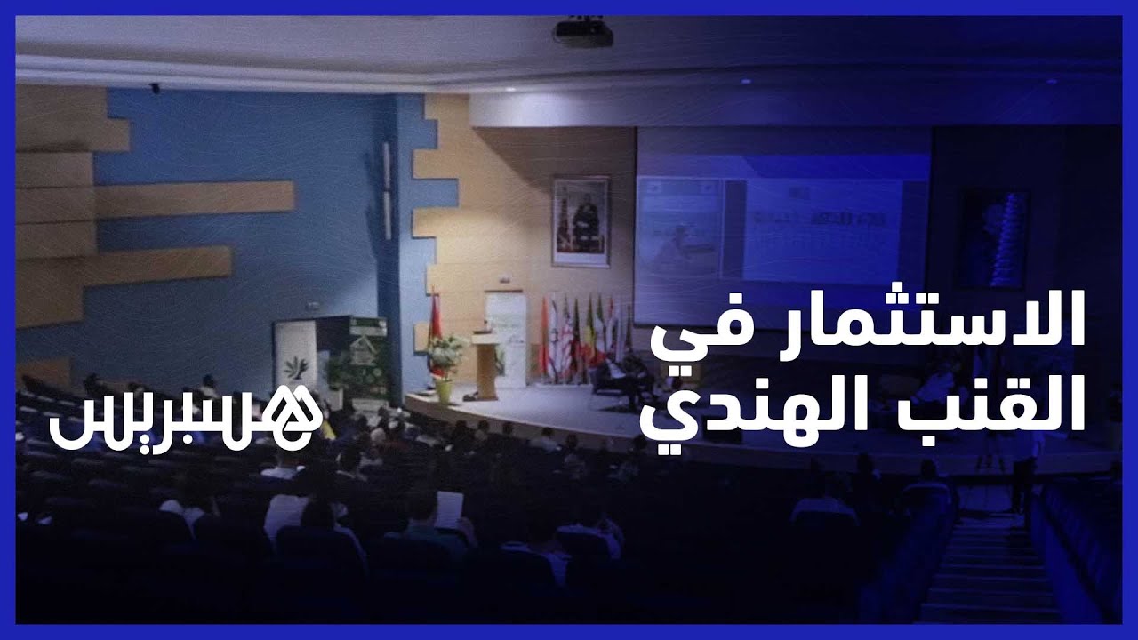 خبراء مغاربة وأجانب يناقشون الاستعمالات الطبية والفوائد العلاجية لنبتة القنب الهندي بالمغرب
