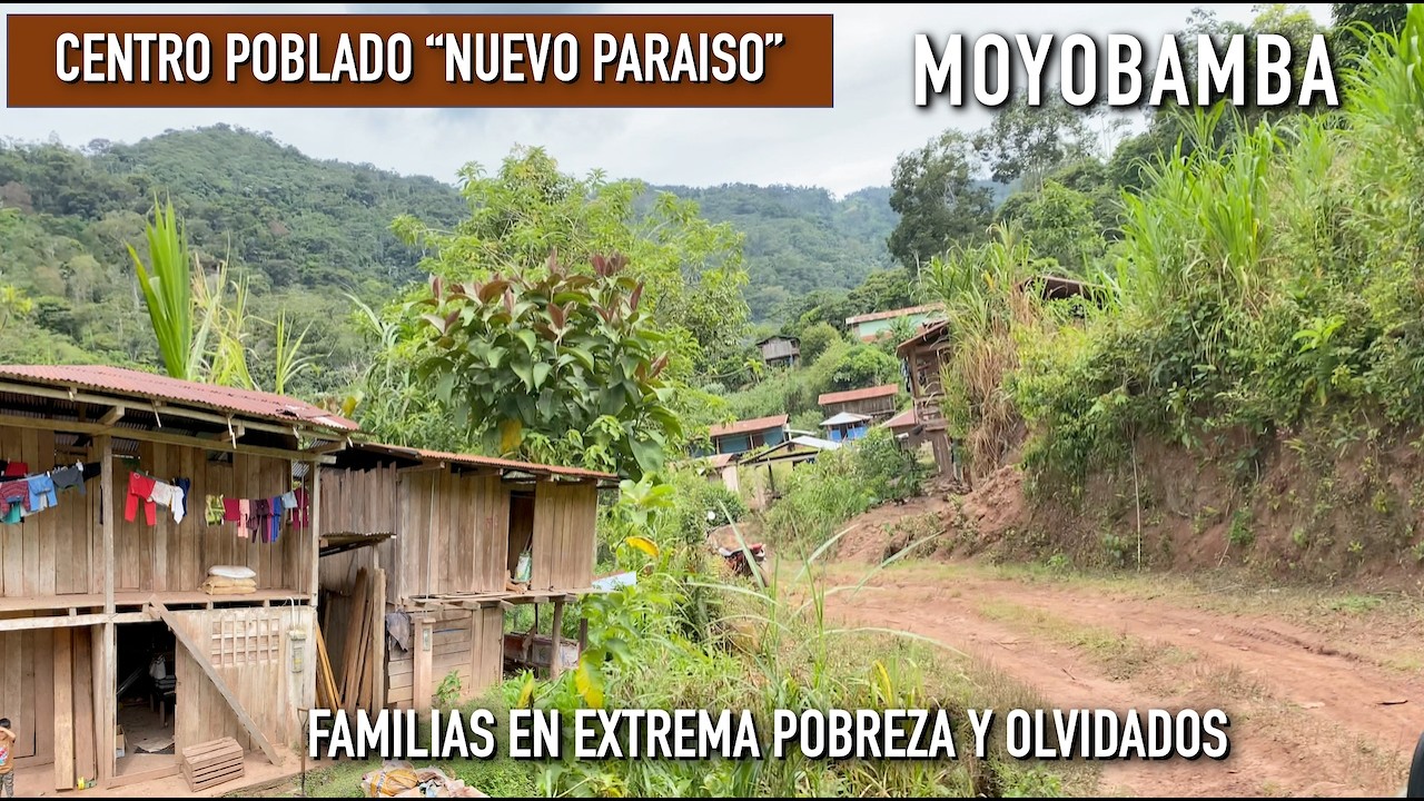 Viven en humildes casas en medio de la selva alta de la amazonia, en extrema pobreza y olvido