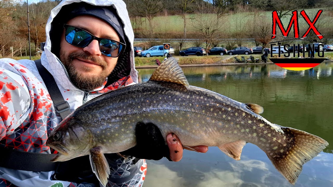 Auf Forellen im Januar/ Harte Zeiten/ Forellen fischen mit Kunstködern/ Trout Area
