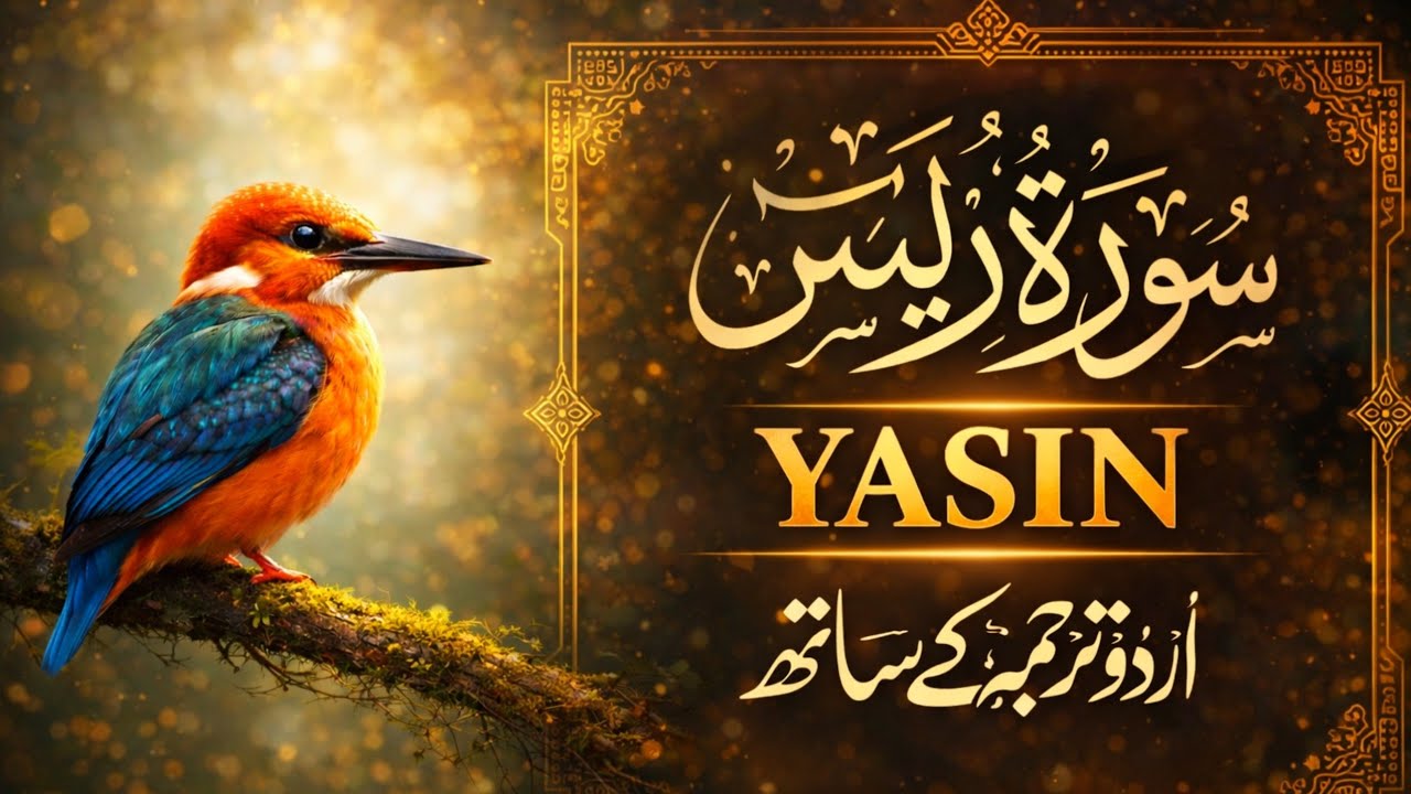 Surah Yaseen with Urdu Translation | سوره ياسين |(Full) | Surah Yasin Sharif | सूरह यासीन | tilawat