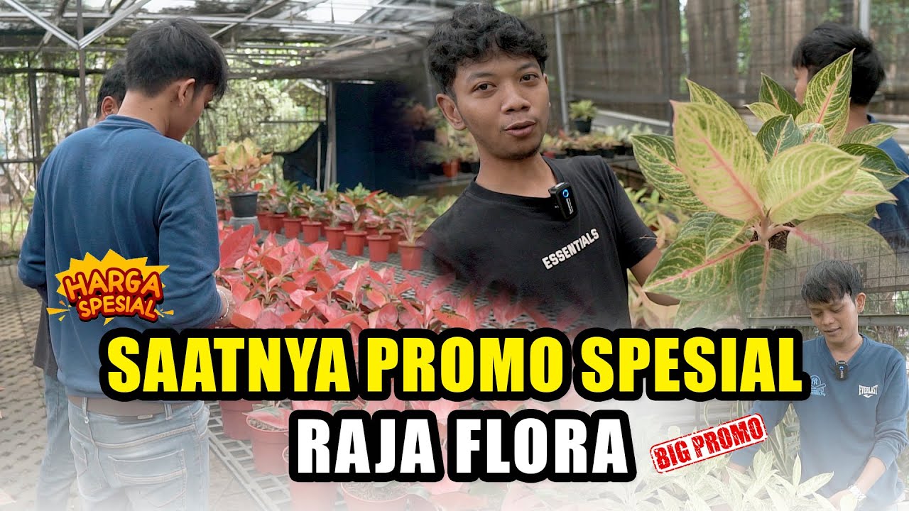 SAATNYA PROMO SPESIAL | RAJA FLORA
