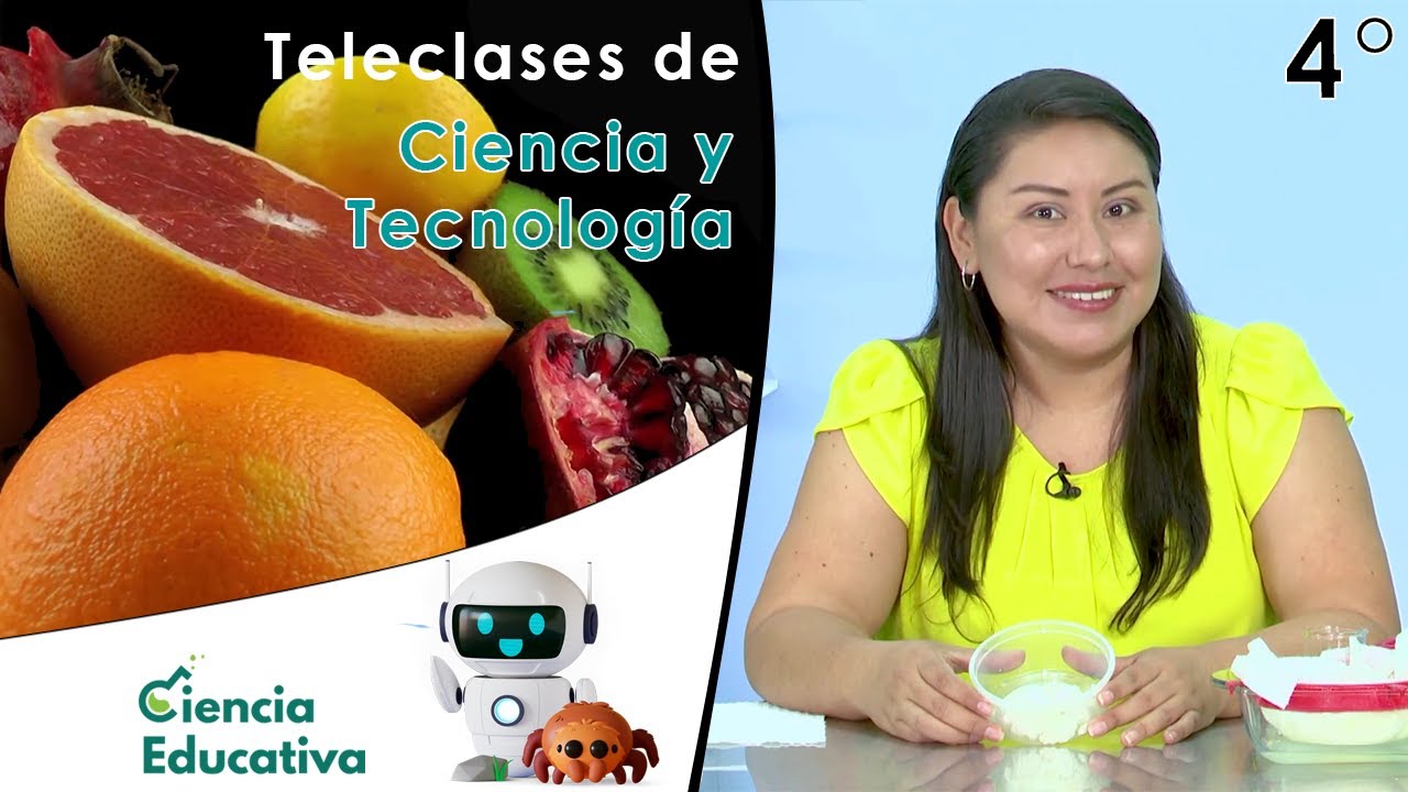 ¿Cómo están constituidos los alimentos? | Teleclases C y T 4° Grado