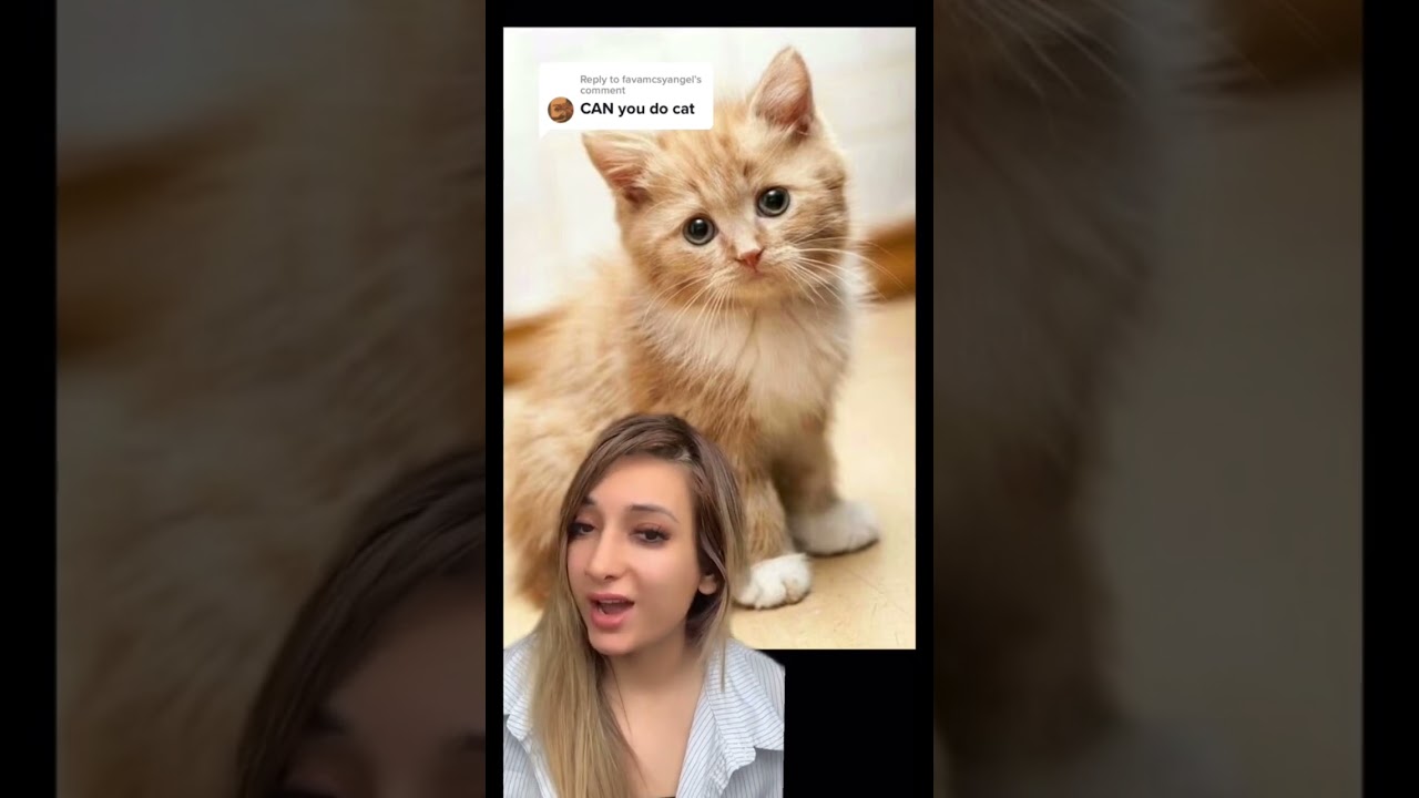 OMG only cats can hear this sound!! If you don&rsquo;t believe me then try for your self 😱 🐈