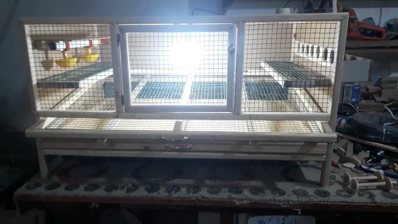 Bıldırcın için rampalı yumurta eğilimli kafes
