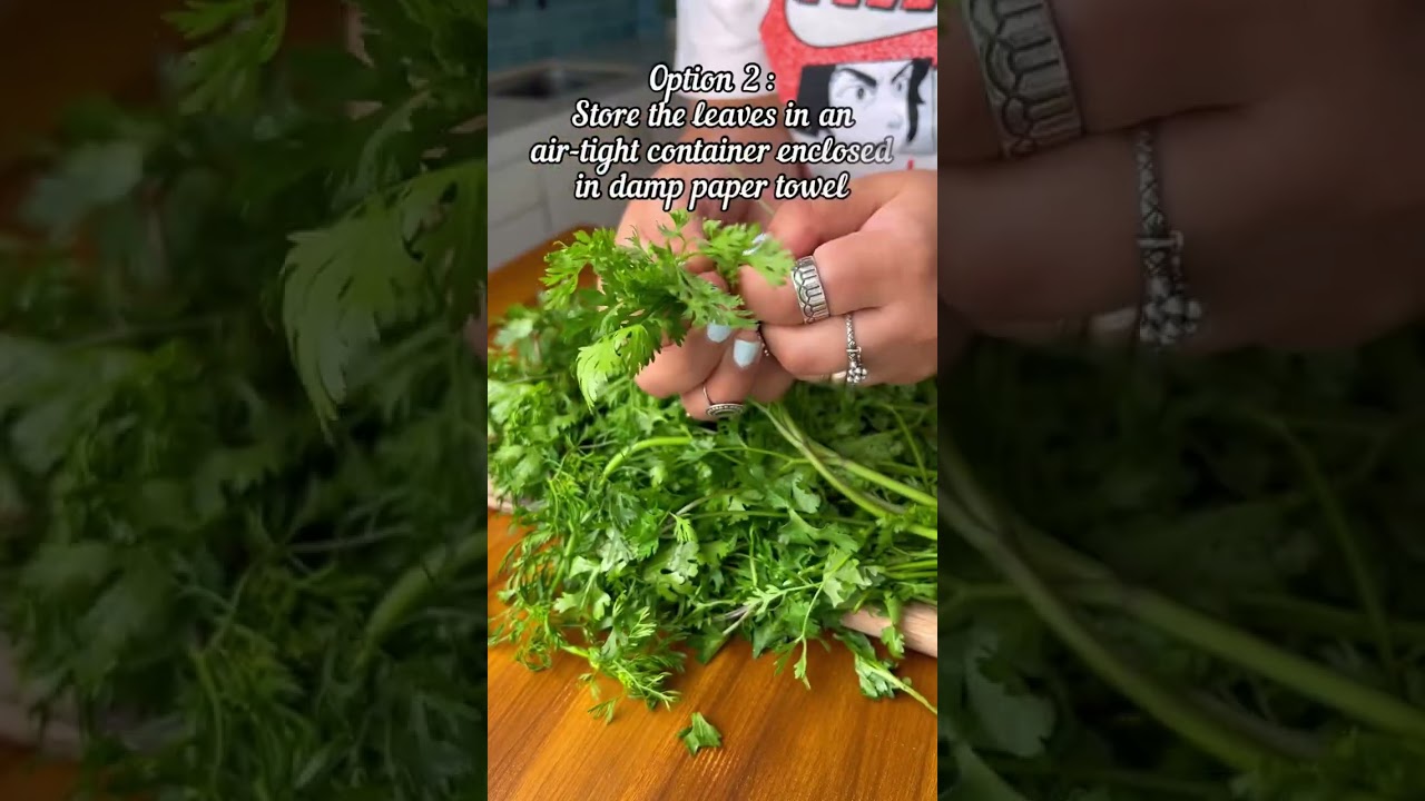 How to keep your coriander fresh! ✨
