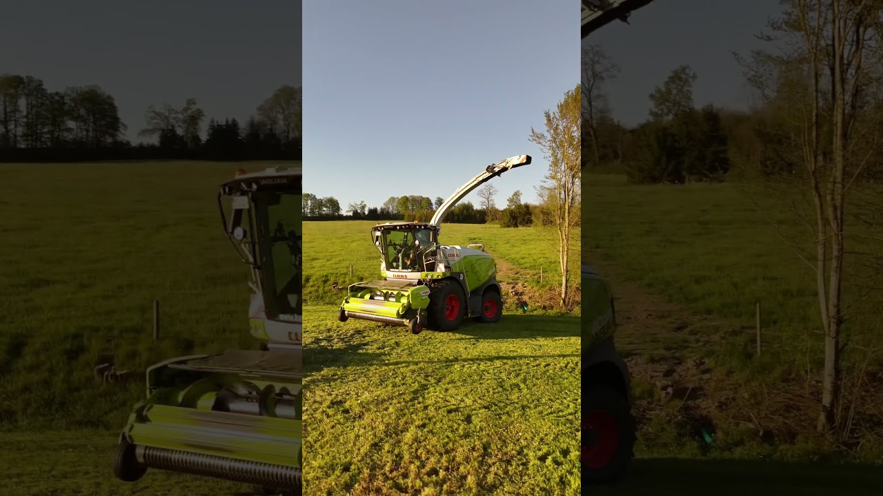 Lohnunternehmen Karlkrumm mit ihrem CLAAS JAGUAR 970  #claas #claasjaguar970 #farming #farmlife