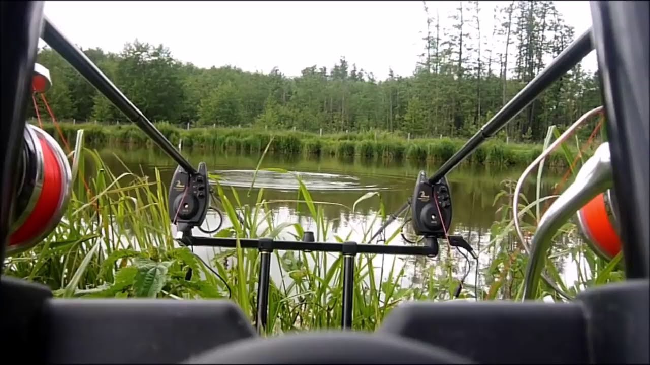 Carp Run Compilation 2020 v2 !