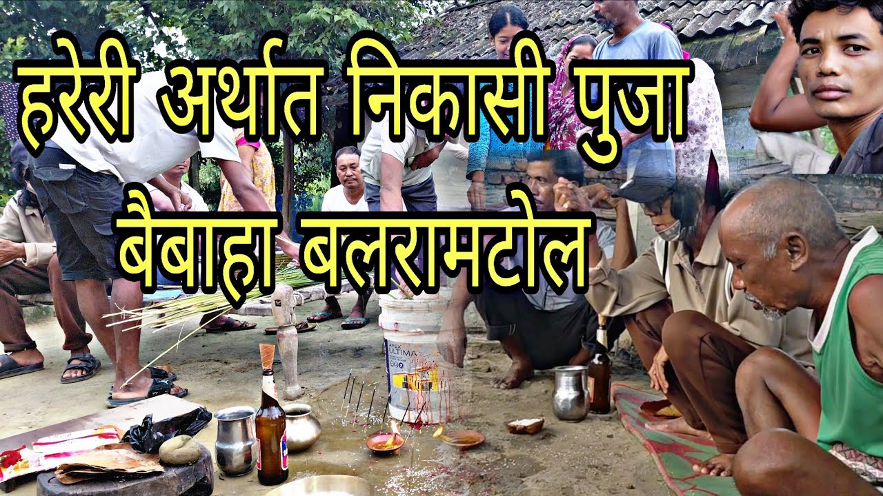 हरेरी पुजा निकासी पुजा! निकासी पुजा बरेमा! ठनुवम निकसी हरेरी पुजा! हरेरी पुजा बलरामटोल! निकासी पुजा