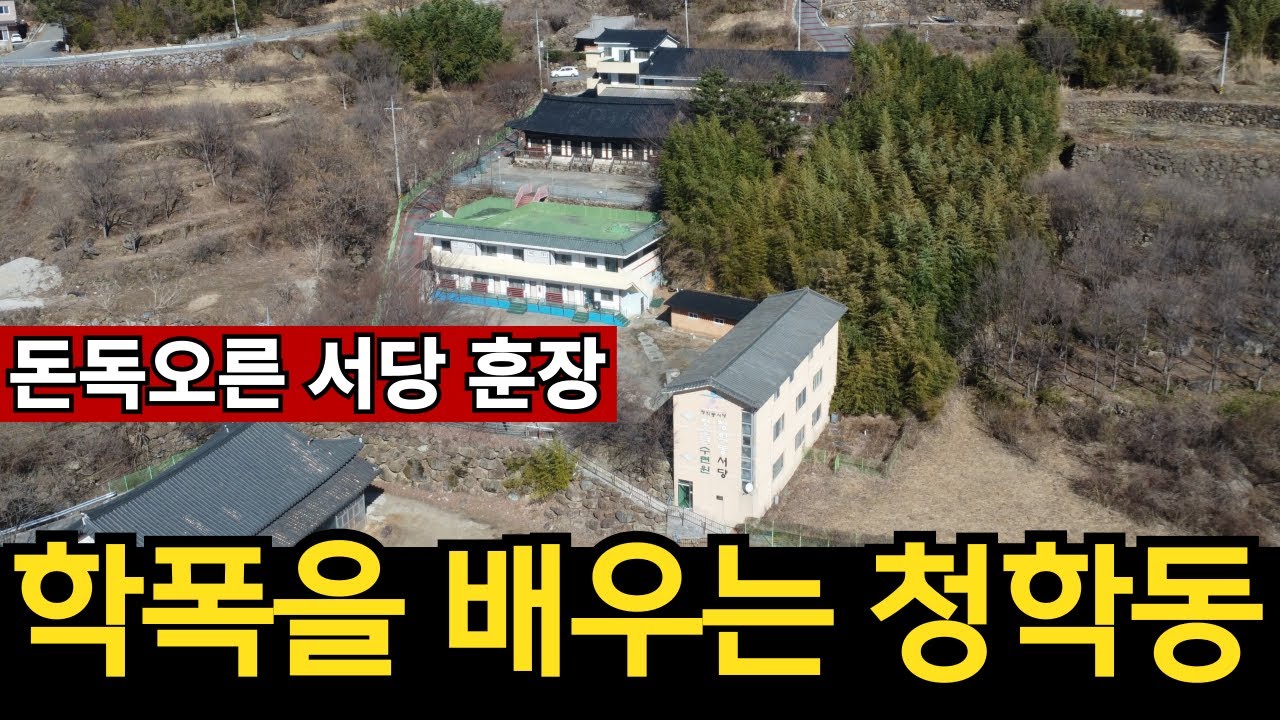 자연인 믿으면 호구 | 사건사고가 끊이질 않았던 지리산 청학동