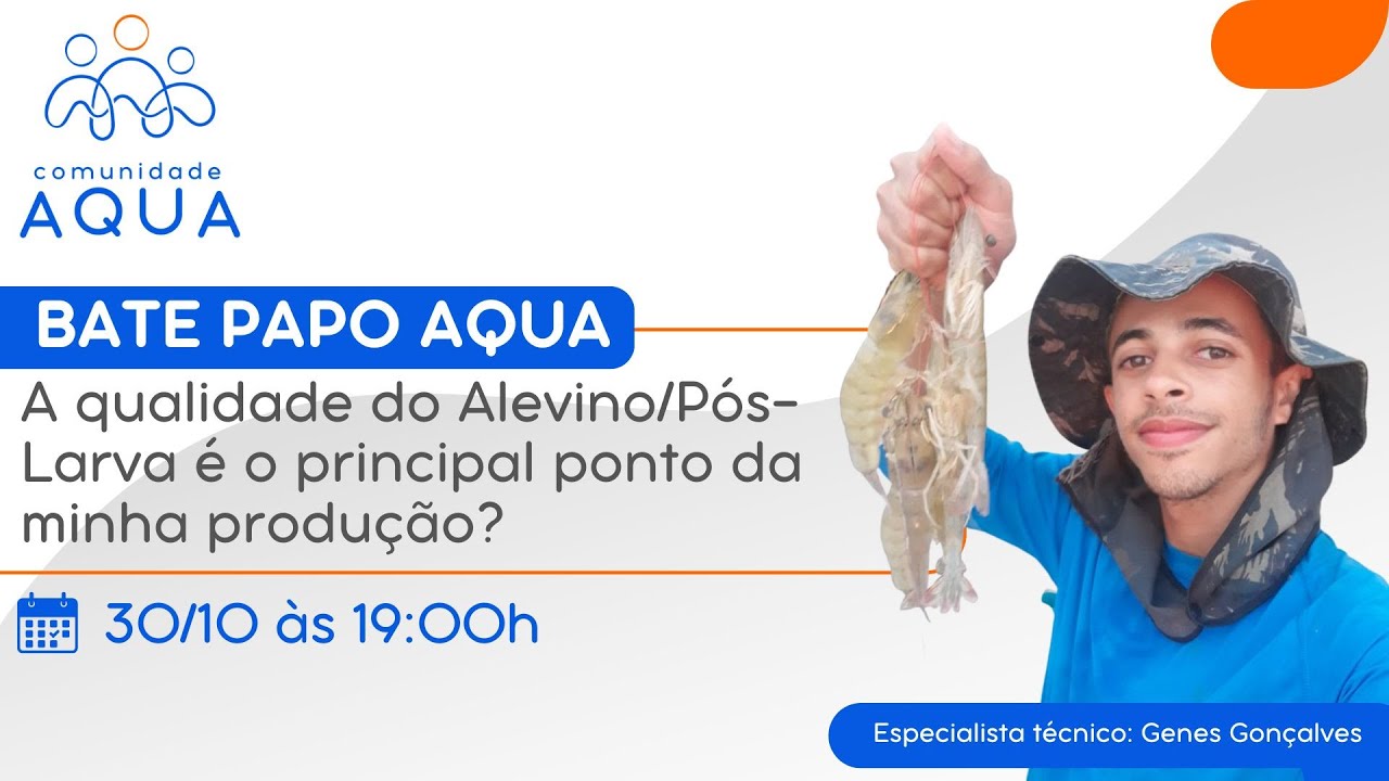 BATE PAPO - A qualidade do Alevino/Pós-Larva é o principal ponto da minha produção?