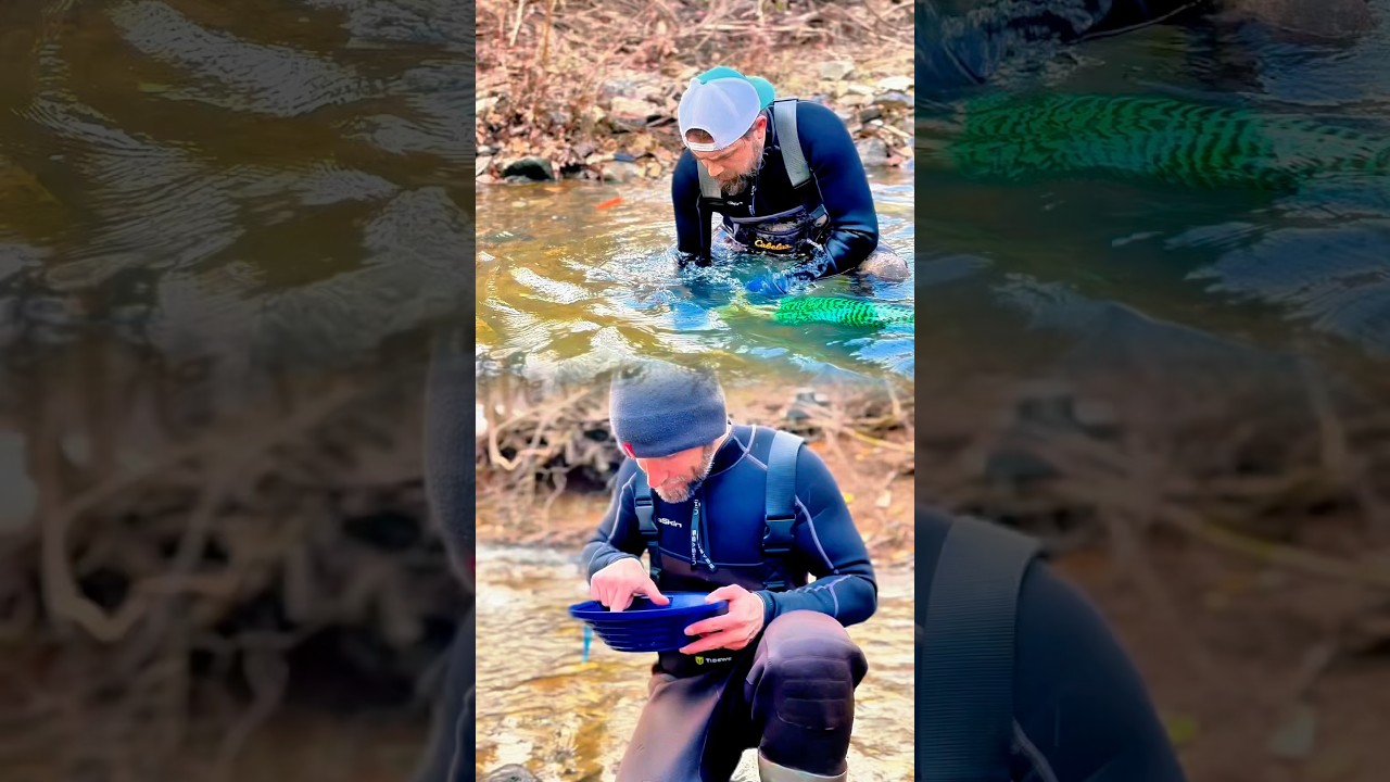 Finding Gold in a Shallow Creek! Gold Prospecting NC!