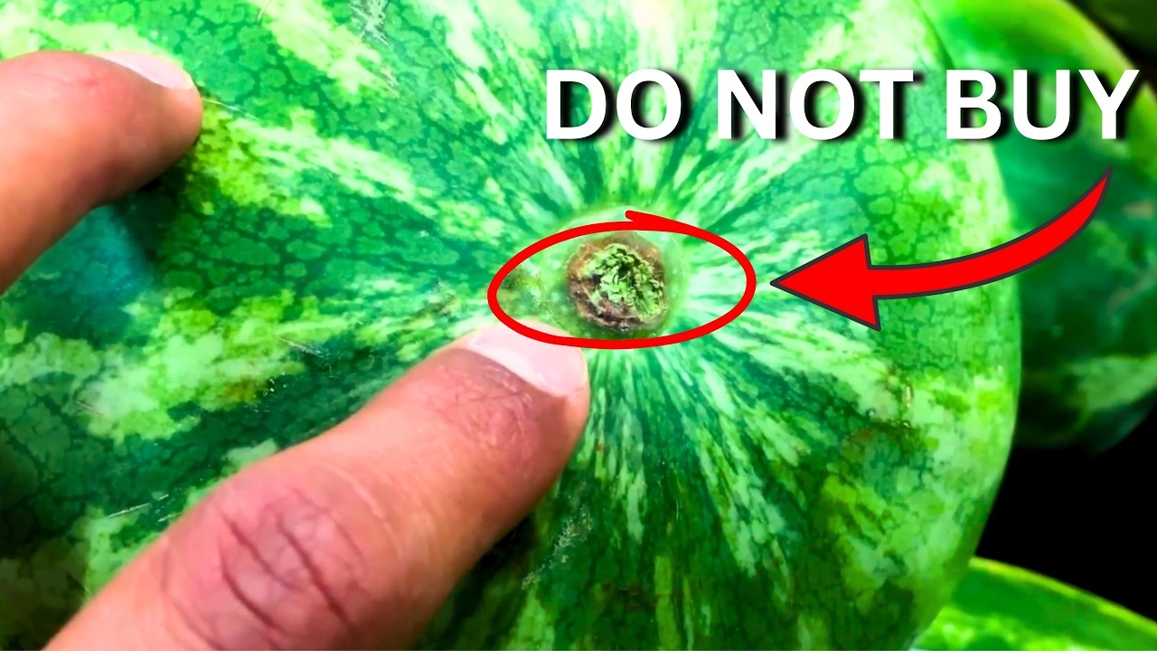 How to Pick a Sweet Watermelon...The Old Gardener's Way