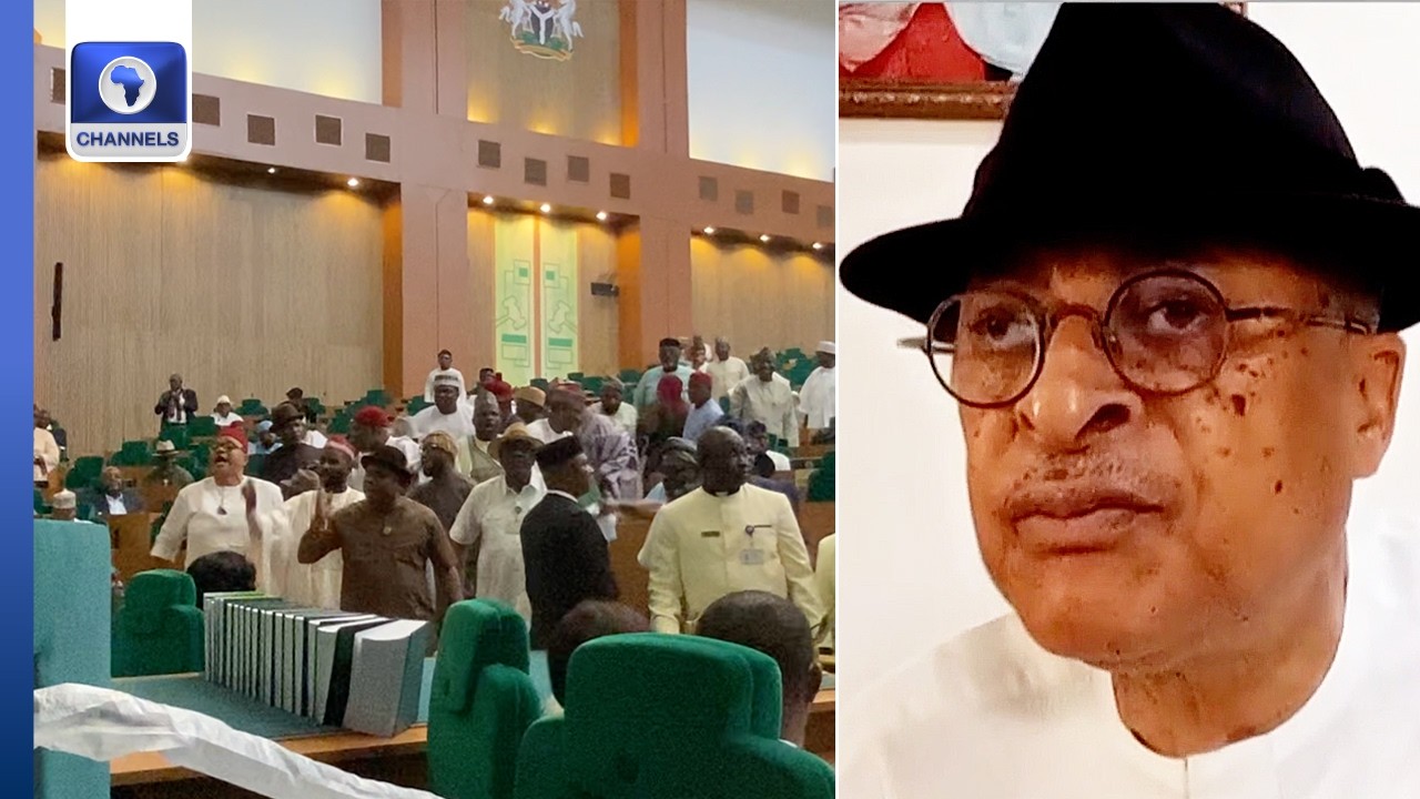 Electoral Act: Utomi Calls For Mass Recall Of NASS Members, Picketing Of Their Homes