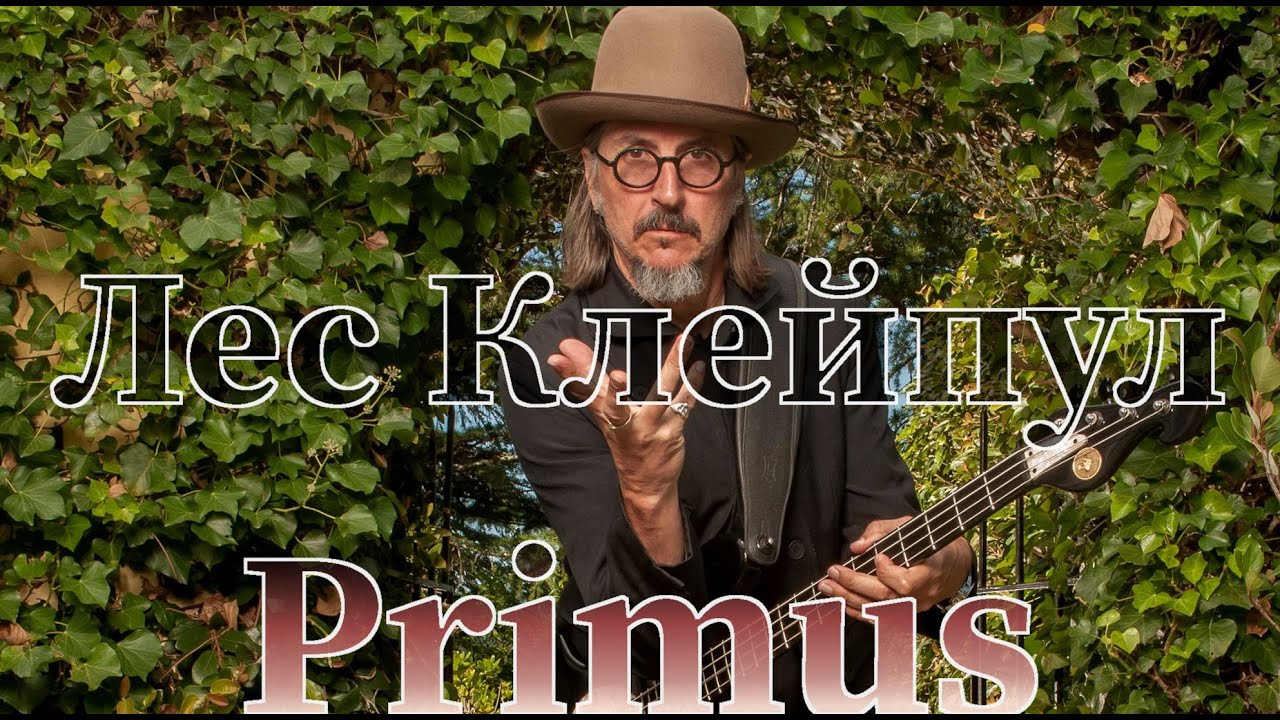 Лес Клейпул басист группы Primus