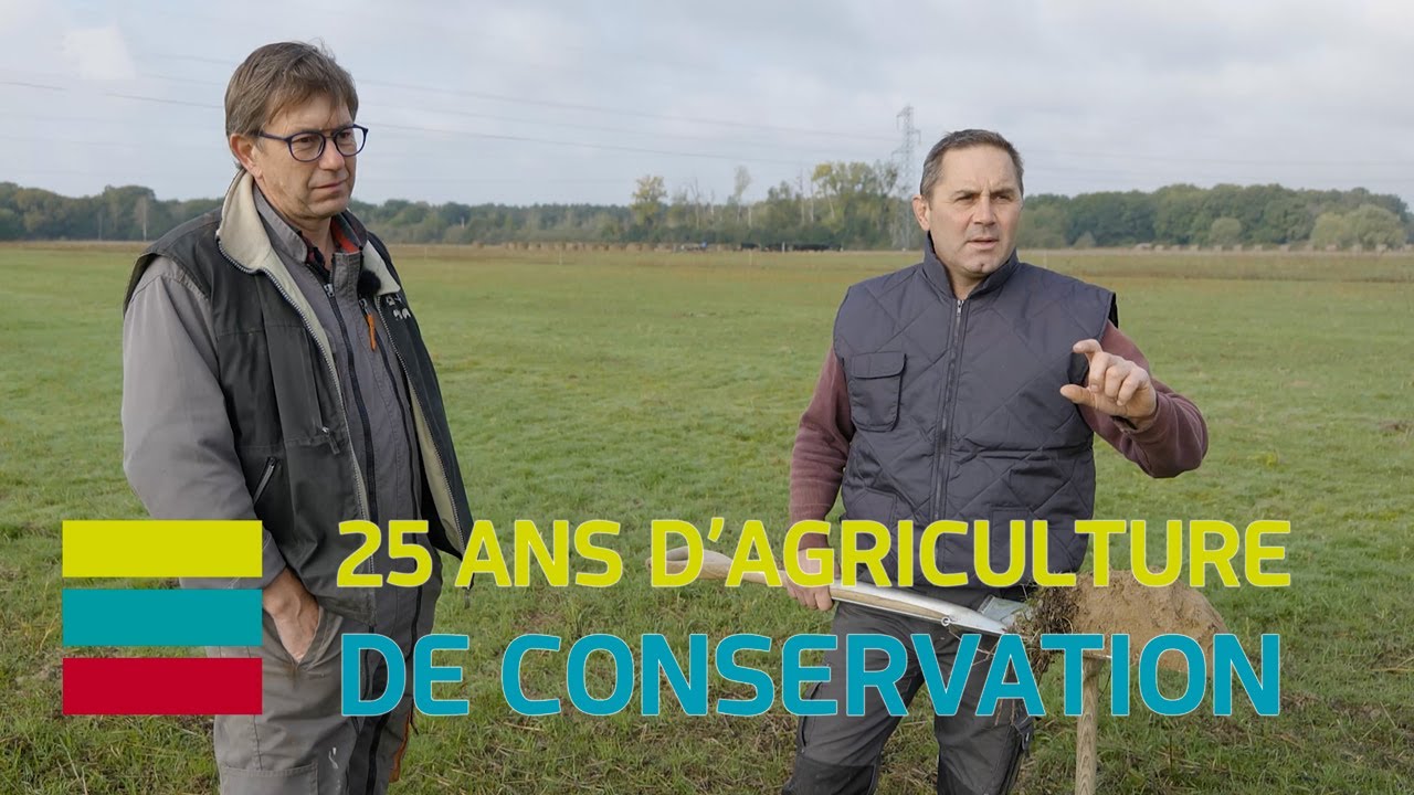 S1 - E4 : DES ANIMAUX DANS UNE FERME CÉRÉALIÈRE - FRÉDÉRIC THOMAS 2/2