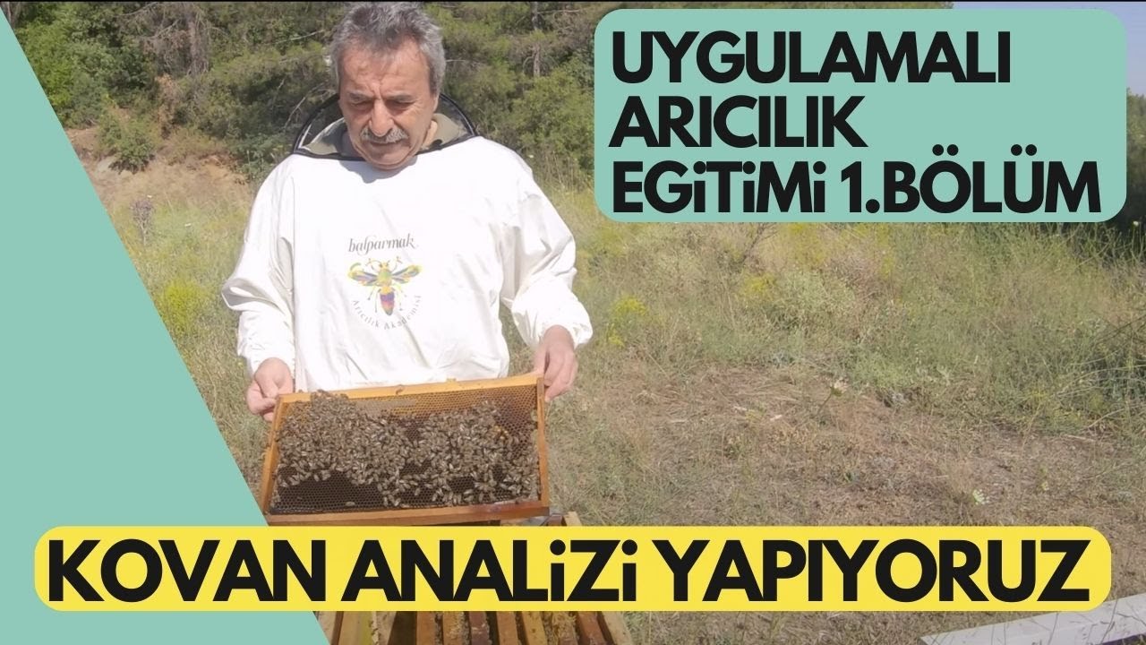 Ali İhsan Hoca İle Kovanlarımızı Gezip Yorumluyoruz 1. Bölüm | Uygulamalı Arıcılık Eğitimi