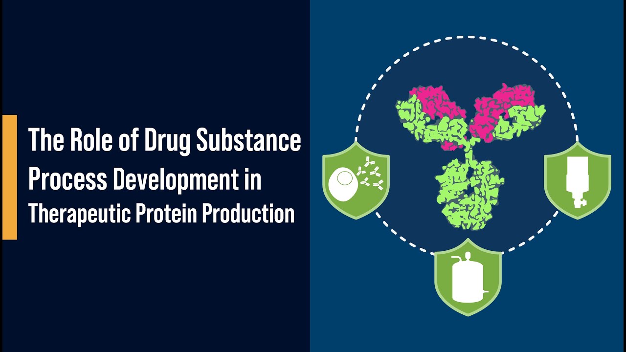 The Role of Drug Substance Process Development in Therapeutic Protein Production
