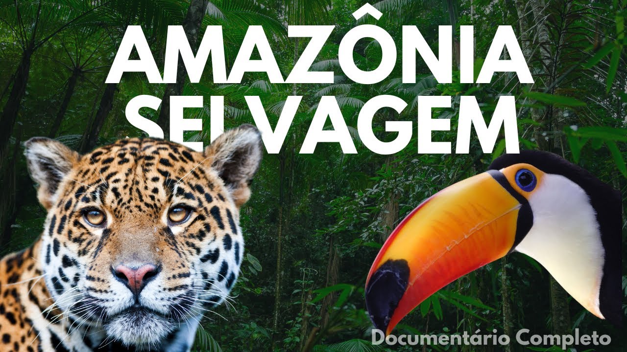 AMAZONIA SELVAGEM - PREDADORES E PROTETORES | Document&aacute;rio Completo