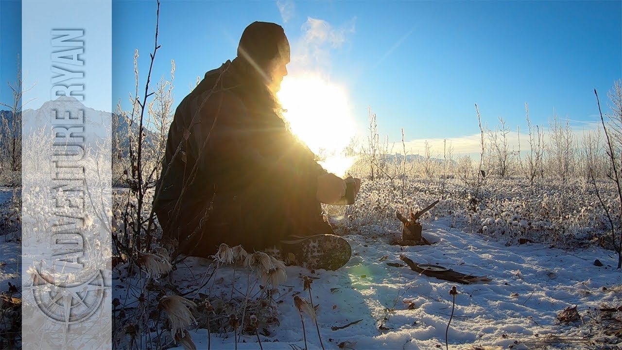 Foraging and Brewing Spruce Needle Tea in Alaska