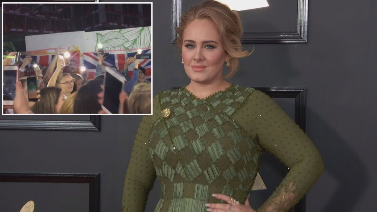 Adele Fans Wish Her Well After She Cancels Concerts to Heal Vocal Cords
