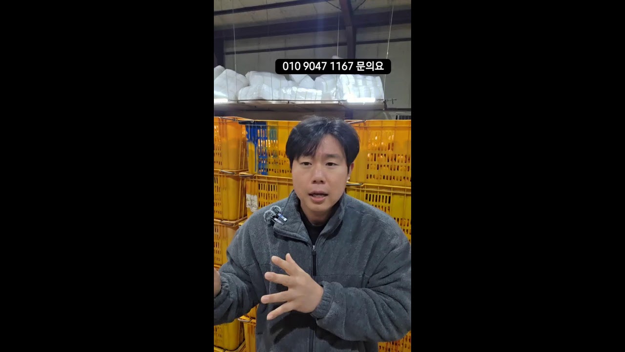 유통하맨 제주한라봉 레드향 !#한라봉 #제주감귤#구좌당근#황금향#콜라비
