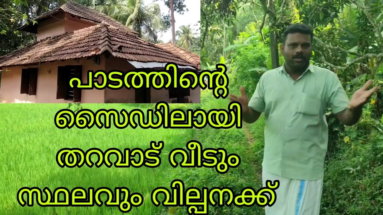 പാടത്തിന്റെ സൈഡിൽ ആയി നല്ലൊരു തറവാട് വീടും സ്ഥലവും വില്പനക്ക്