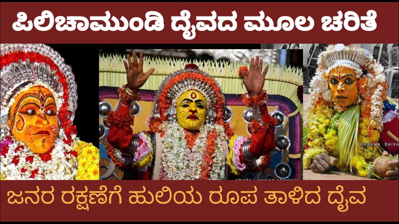 ಪಿಲಿ ಚಾಮುಂಡಿ ದೈವದ ಮೂಲಚರಿತೆ || Pili Chamundi Daivada Charithe #manglore #capturekudla #daivaradhane.