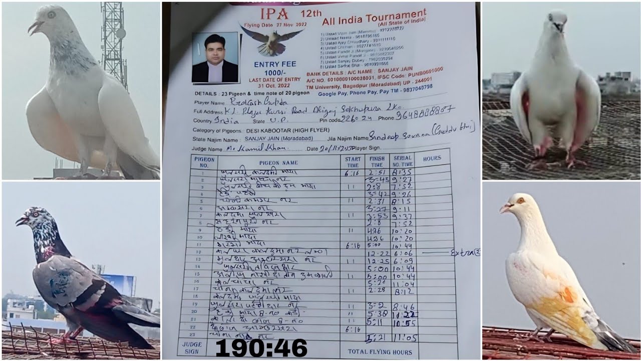 23 Kabootar Ke Udaan.. Prakaash Bhai.. All India Tournament..20/November/2022 = 1st Round.190:46min.