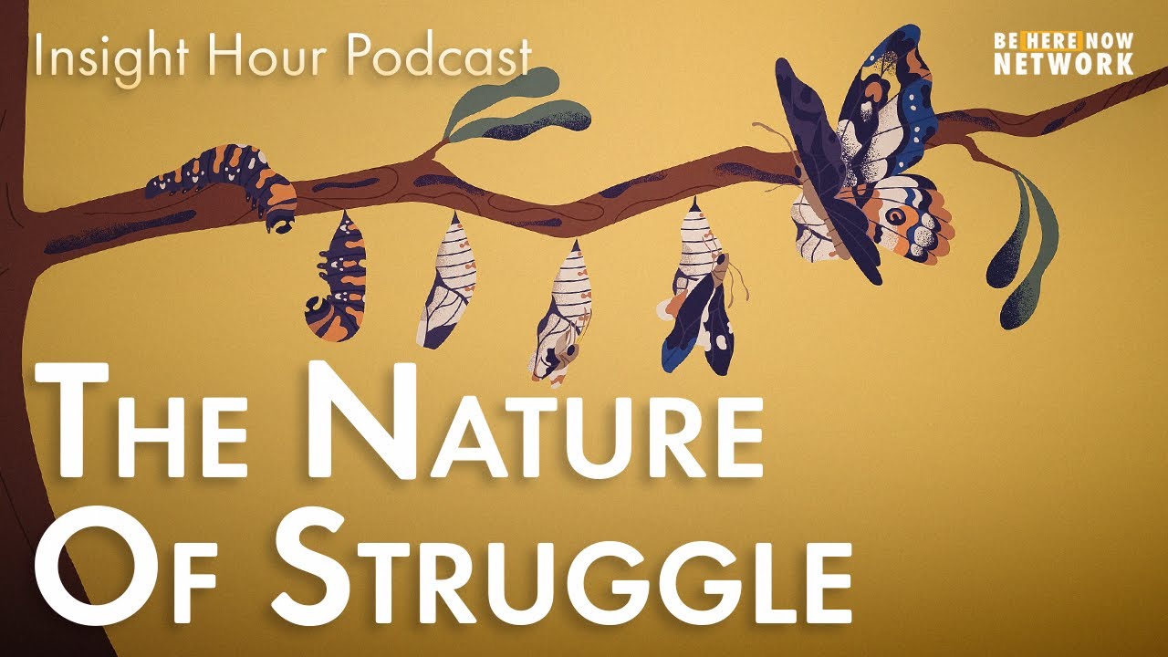 The Nature of Struggle with Joseph Goldstein - Insight Hour Ep. 137