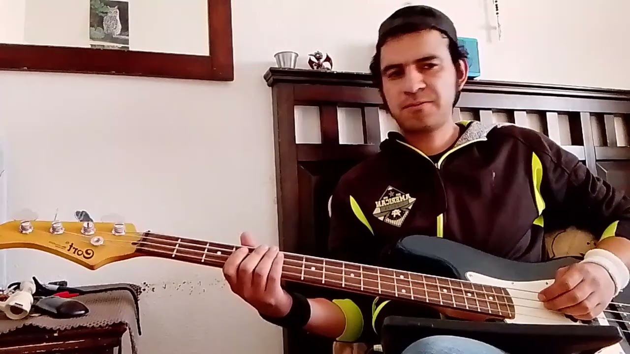 Scorpions - rock you like a hurricane - bass cover