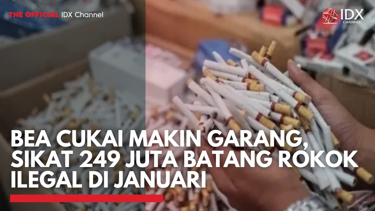 Bea Cukai Makin Garang, Sikat 249 Juta Batang Rokok Ilegal di Januari | IDXC UPDATE