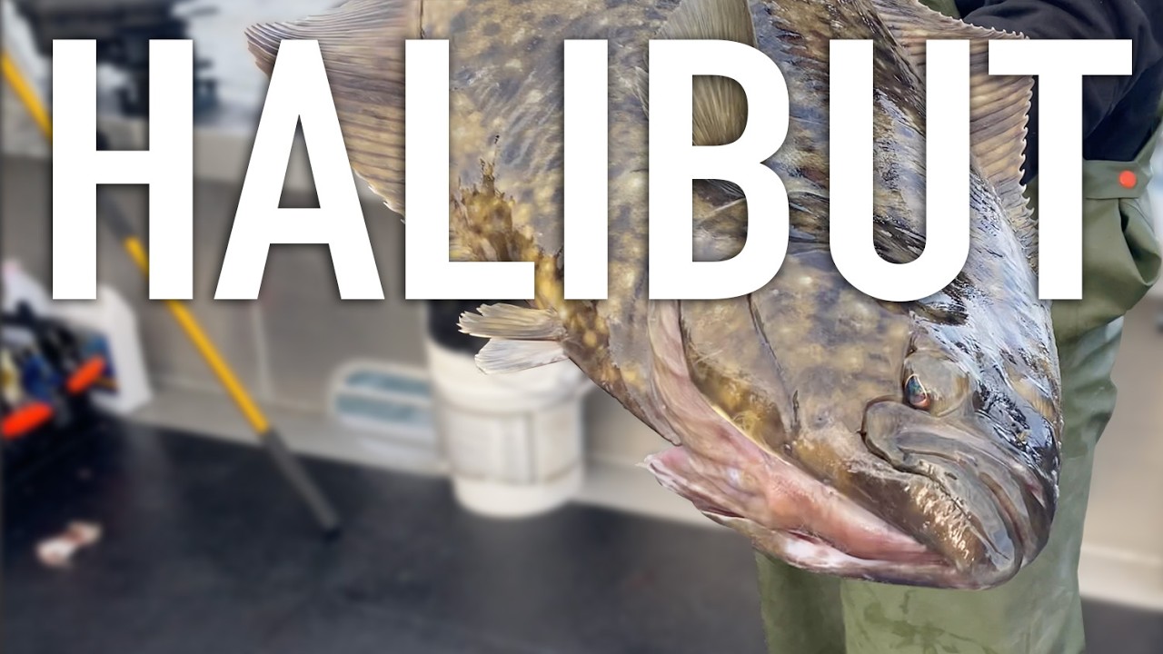THIS is Halibut fishing in Homer, Alaska!